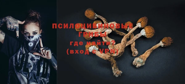 Альфа ПВП Арсеньев