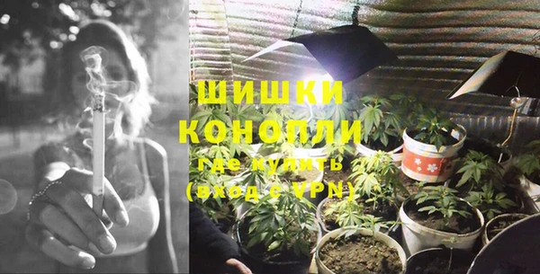 стаф Балахна
