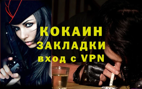 стаф Аркадак