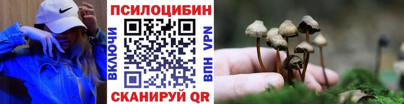 закладки  Белово  Галлюциногенные грибы прущие грибы 